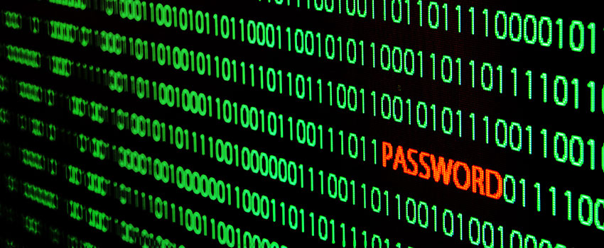 vulnerability-assessment-subheader Vulnerability Assessment