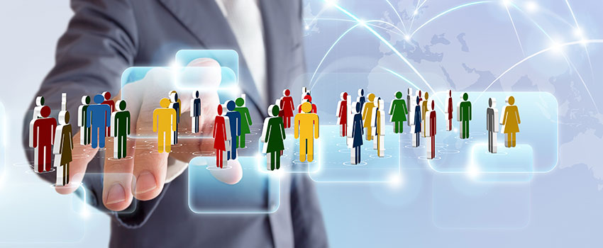 management-team-subheader Management Team