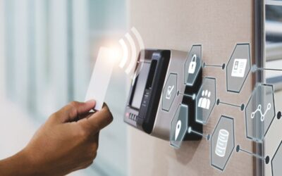 Local Government Security Starts Within: A Focus on Internal Safeguards